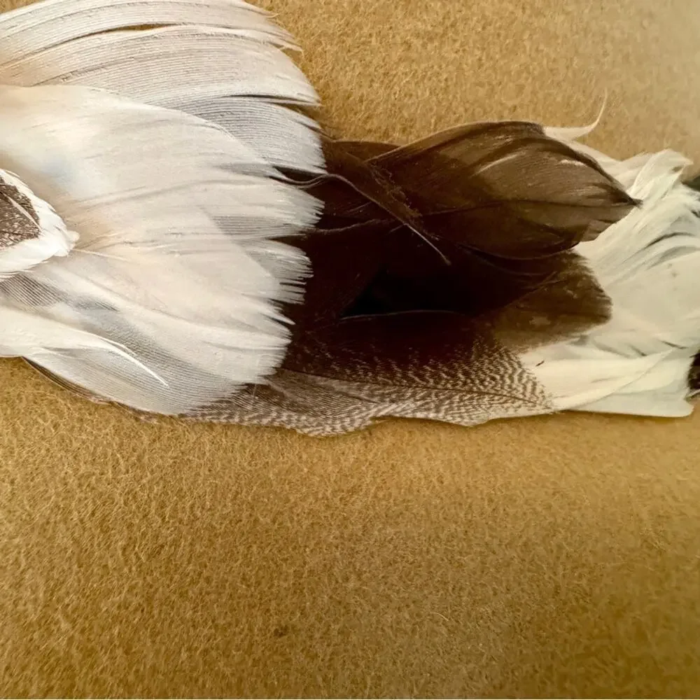 bebe - 100% Wool Tan Floppy Hat with Feather Accents Size: OS